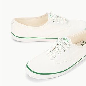 Keds X Staud Champion Canvas Piping Lace Up